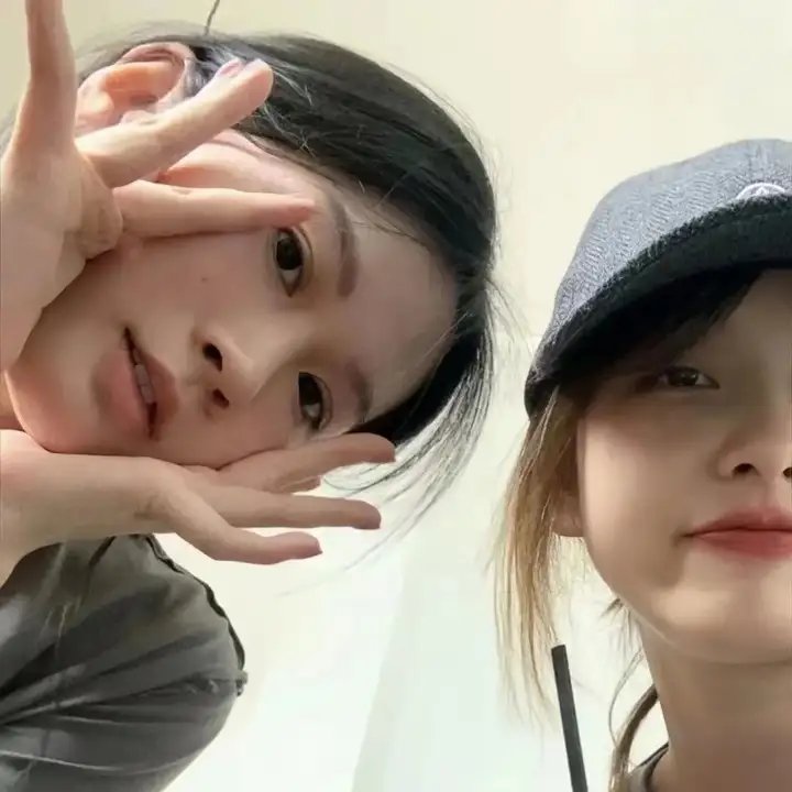 房子与狗